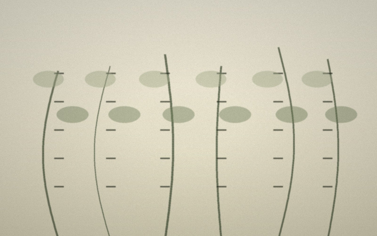 Abstract bamboo-stem study for a guide to bamboo and regenerated fibre