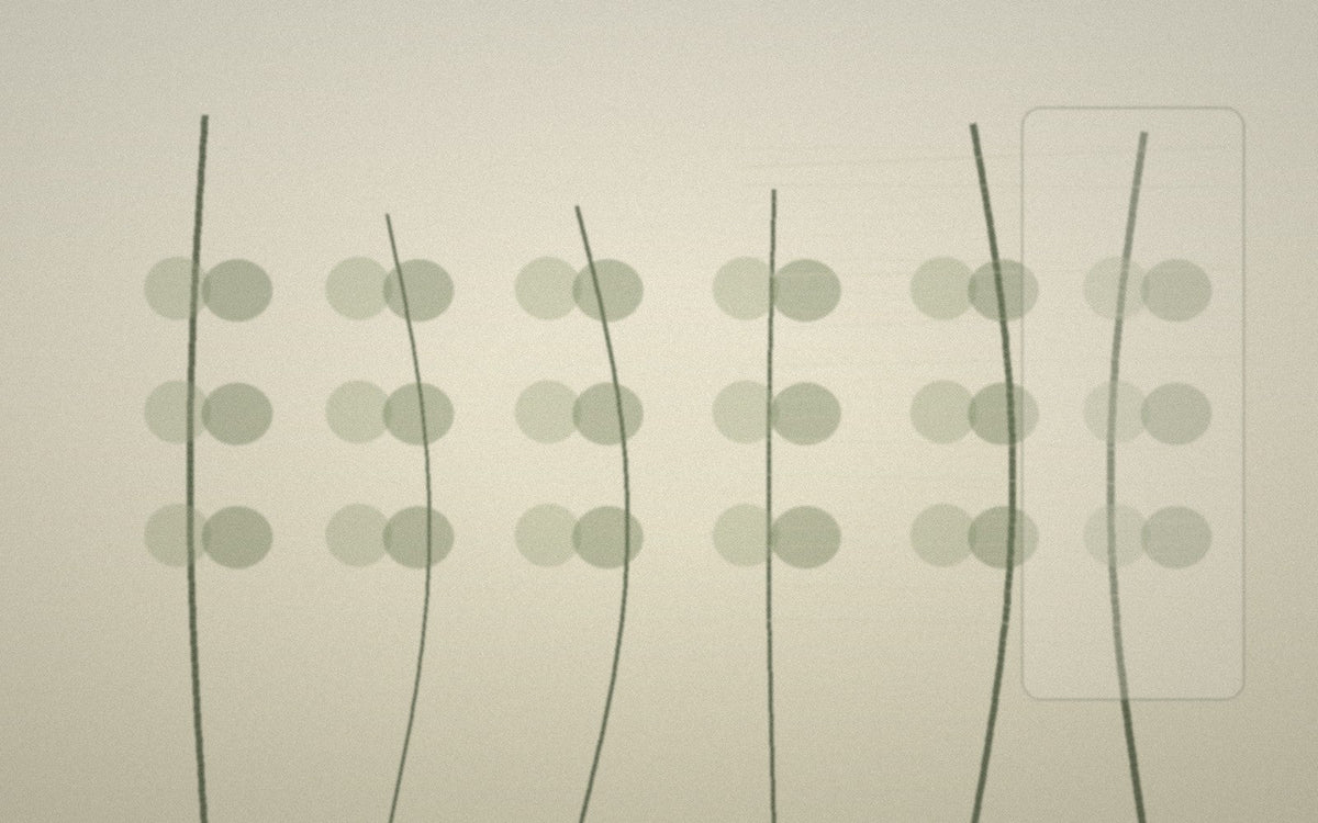 Plant stems and separated bast fibres transitioning toward cloth