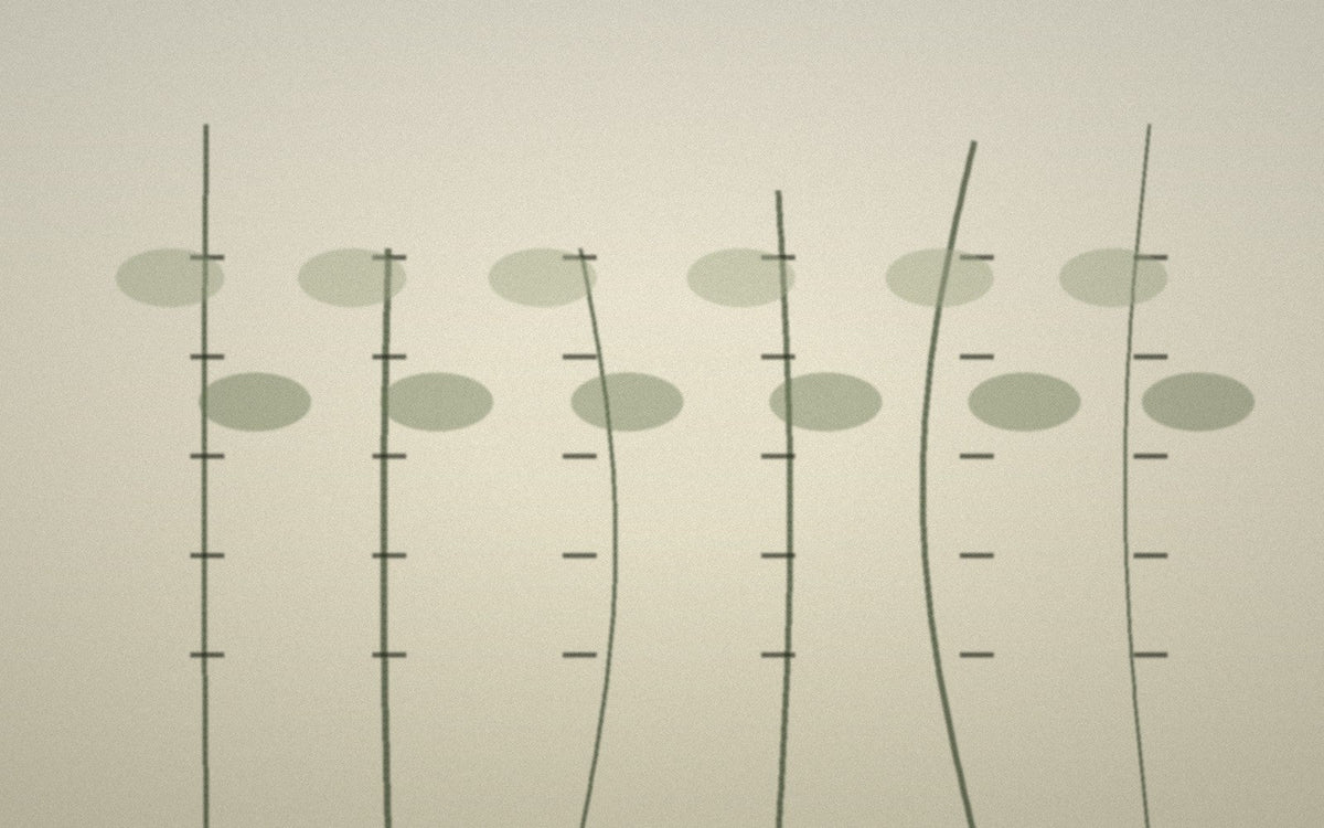 Plant-fibre comparison study with bast and bamboo-inspired stems