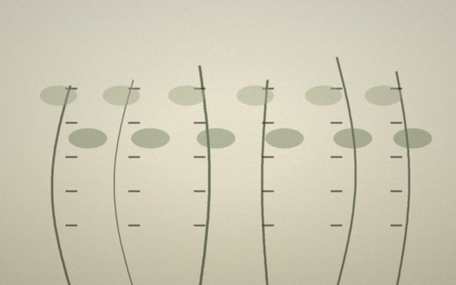 What Is Bamboo Fabric? Fibre, Viscose and Process Explained
