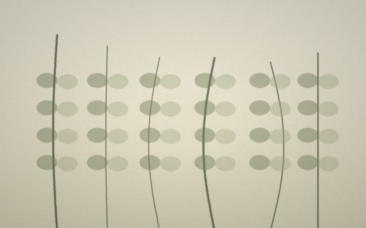 Minimal ramie plant and fibre study in CULM natural tones