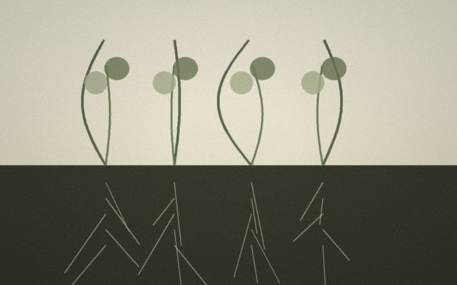 What Does Regenerative Mean in Fashion and Fibre?